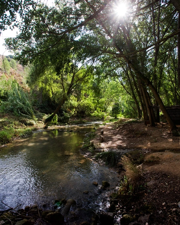 RÍO BUÑOL